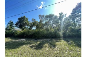MARION OAKS MNR, OCALA, FL 34473 - MLS#MFRTB8370101