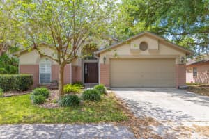 28430 MEADOWRUSH WAY, WESLEY CHAPEL, FL 33543 Sold 06/03/25