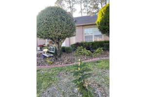 18607 BENT PINE DRIVE, HUDSON, FL 34667 - MLS#MFRTB8370167