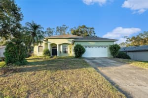 3545 E Lake Dr, LAND O LAKES