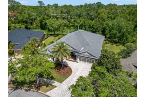 14817 TUDOR CHASE DRIVE, TAMPA, FL 33626 Sold 07/15/25