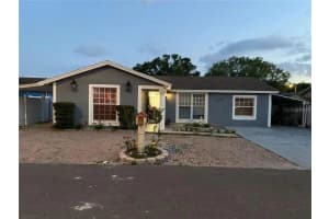 10106 WHEATLEY HILLS COURT, TAMPA, FL 33615 Sold 06/17/25