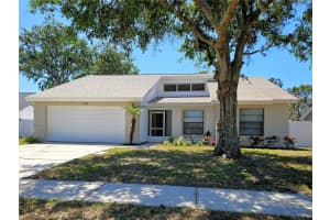 12121 WILDBROOK DRIVE, RIVERVIEW, FL 33569 Sold 07/11/25