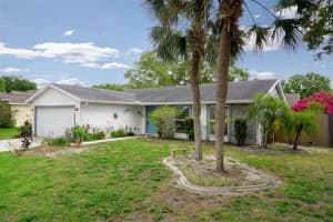 5814 SILVER MOON AVENUE, TAMPA, FL 33625 Sold 07/25/25