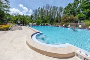 2363 NEWBURG LANE, SAFETY HARBOR, FL 34695 Sold 06/20/25