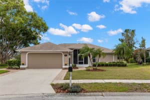 1434 WICKLOW DRIVE, PALM HARBOR, FL 34684 Sold 06/02/25