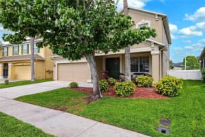 2800 FLAGLER COURT, TRINITY, FL 34655 - MLS#MFRTB8370526
