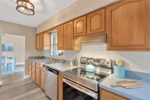 1008 GREENBRIAR DRIVE, BRANDON, FL 33511 Sold 06/04/25