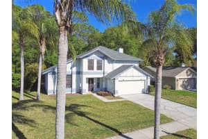 389 WATERFORD CIRCLE, TARPON SPRINGS, FL 34688 - MLS#MFRTB8370662