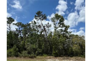 2185 Waterfall Dr, SPRING HILL