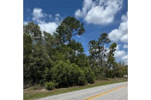 2185 WATERFALL DRIVE, SPRING HILL, FL 34608 - MLS#MFRTB8370684