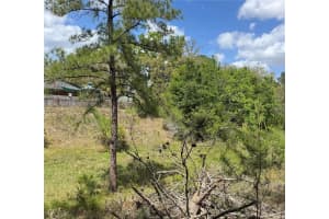 2185 WATERFALL DRIVE, SPRING HILL, FL 34608 - MLS#MFRTB8370684