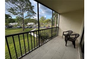 1423 PINE GLEN LANE, TARPON SPRINGS, FL 34688 Sold 10/24/25