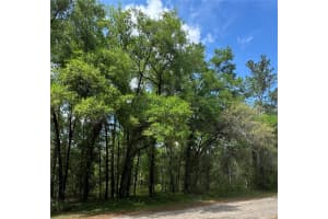 433 AVONDALE DRIVE, DUNNELLON, FL 34434 - MLS#MFRTB8370788