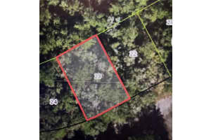 433 AVONDALE DRIVE, DUNNELLON, FL 34434 - MLS#MFRTB8370788
