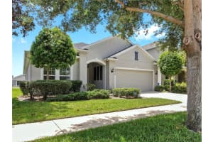 10410 WATERSTONE DRIVE, RIVERVIEW, FL 33578 Sold 05/15/25