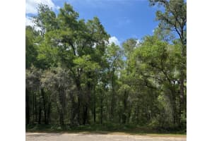 455 AVONDALE DRIVE, DUNNELLON, FL 34434 - MLS#MFRTB8370810