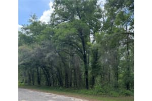 455 AVONDALE DRIVE, DUNNELLON, FL 34434 - MLS#MFRTB8370810