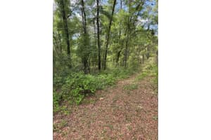 455 AVONDALE DRIVE, DUNNELLON, FL 34434 - MLS#MFRTB8370810