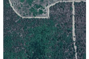SW 15 PL #8, OCALA, FL 34481 - MLS#MFRTB8370839