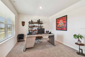 33659 JASPER STONE DRIVE, WESLEY CHAPEL, FL 33543 Sold 05/15/25