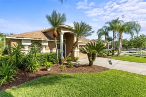 19335 SEACOVE DRIVE, LUTZ, FL 33558 Sold 06/06/25