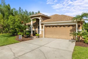 19335 SEACOVE DRIVE, LUTZ, FL 33558 Sold 06/06/25