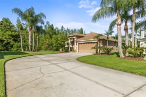 19335 SEACOVE DRIVE, LUTZ, FL 33558 Sold 06/06/25