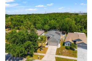 25006 HYDE PARK BOULEVARD, LAND O LAKES, FL 34639 Sold 06/10/25