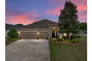 13302 Trailing Moss Dr, DADE CITY