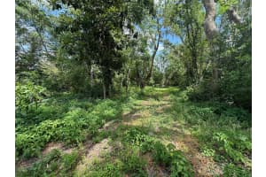 7541 GORDON LOOP, BROOKSVILLE, FL 34601 - MLS#MFRTB8370992