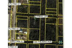 LAS PALMAS AVE, SPRING HILL, FL 34606 - MLS#MFRTB8371023