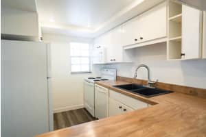 3803 OAK DRIVE, TAMPA, FL 33611 - MLS#MFRTB8371031