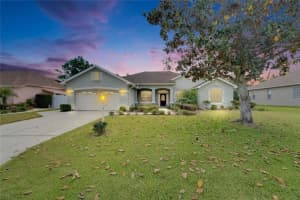 3004 SPRING HAMMOCK DRIVE, PLANT CITY, FL 33566 Sold 08/01/25