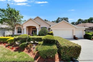 2515 CENTENNIAL FALCON DRIVE, VALRICO, FL 33596 - MLS#MFRTB8371123