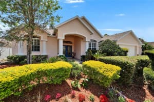 2515 CENTENNIAL FALCON DRIVE, VALRICO, FL 33596 - MLS#MFRTB8371123
