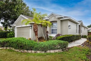 3726 Rain Tree Ct, PALM HARBOR
