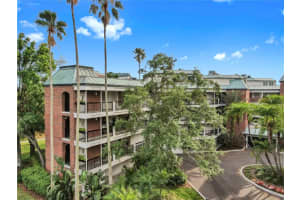 919 Seddon Cove Way #919, TAMPA