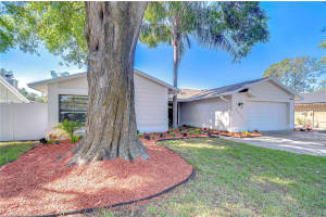 5012 GRAINARY AVENUE, TAMPA, FL 33624 Sold 04/23/25