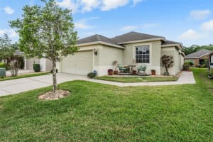 5116 Gato Del Sol Cir, WESLEY CHAPEL