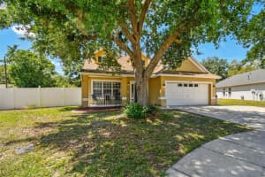 24231 SATINWOOD COURT, LUTZ, FL 33559 - MLS#MFRTB8371212