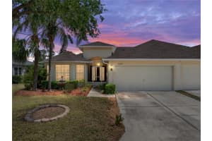 10324 CHATUGE DRIVE, SAN ANTONIO, FL 33576 Sold 09/03/25