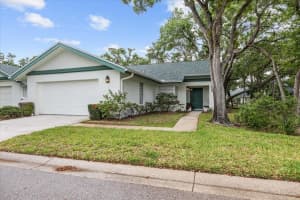 235 WOODRIDGE CIRCLE, OLDSMAR, FL 34677 - MLS#MFRTB8371257