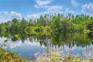 11712 WINTERSET COVE DRIVE, RIVERVIEW, FL 33579 Sold 08/25/25