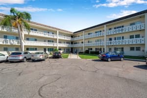2452 BRAZILIA DRIVE, CLEARWATER, FL 33763 - MLS#MFRTB8371458