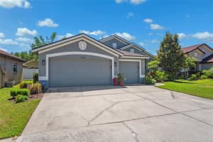 19750 Ellendale Dr, LAND O LAKES