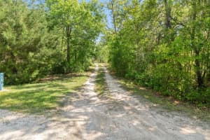 5783 GEORGIAN ROAD, HOMOSASSA, FL 34446 - MLS#MFRTB8371496