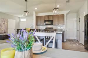 32721 BROOKS HAWK LN, WESLEY CHAPEL, FL 33543 - MLS#MFRTB8371523
