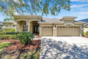 15714 Ibisridge Dr, LITHIA