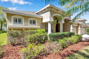 15714 IBISRIDGE DRIVE, LITHIA, FL 33547 - MLS#MFRTB8371527